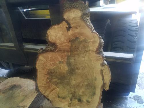 Really nice Maple Burl Cookie, just sawn