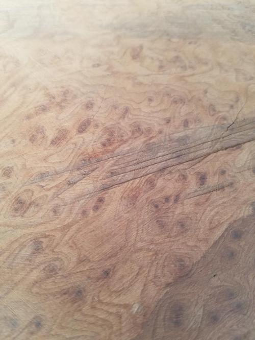 Redwood Root Burl closeup